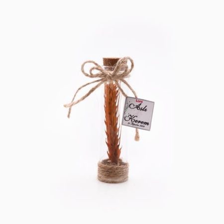 Kuru Çiçekli Turuncu Seri-29077